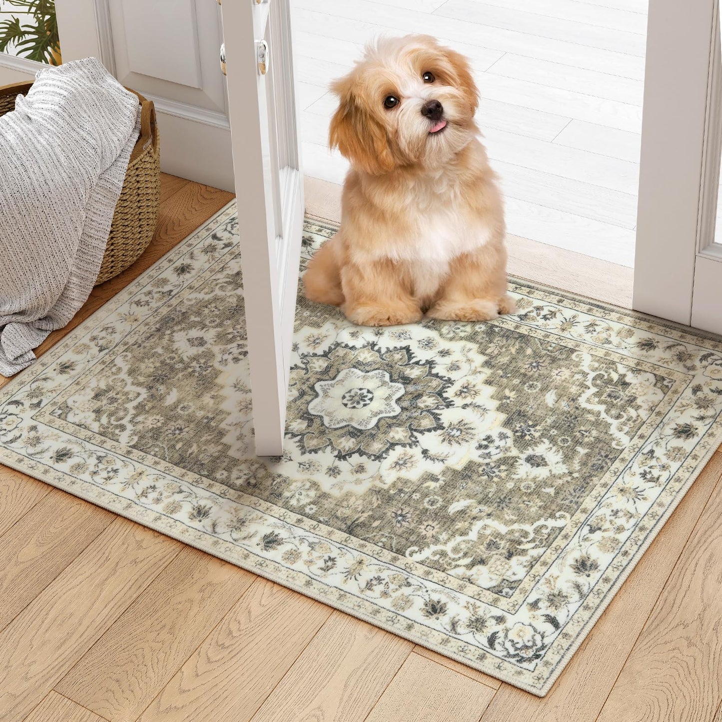 Vintage Charm Accent Rug
